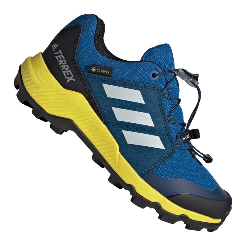 Adidas Terrex Gtx Jr BC0599 cipele plava