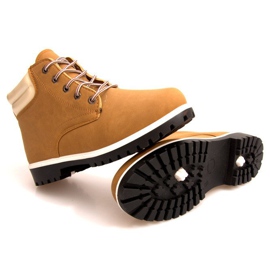 483 hvatači kamila s visokim krznom izoliranim smeđa