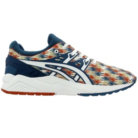 Cipele Asics GEL-KAYANO Trainer Evo M H6C3N-4501 višebojan