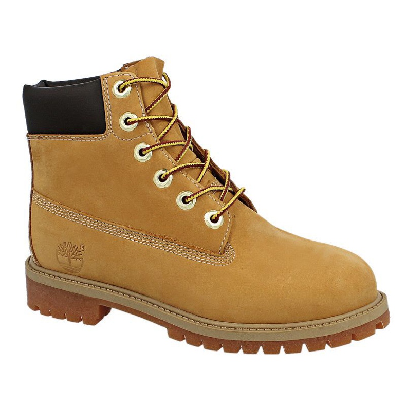 Timberland 6 In Premium Wp čizma Jr 12909 žuta boja
