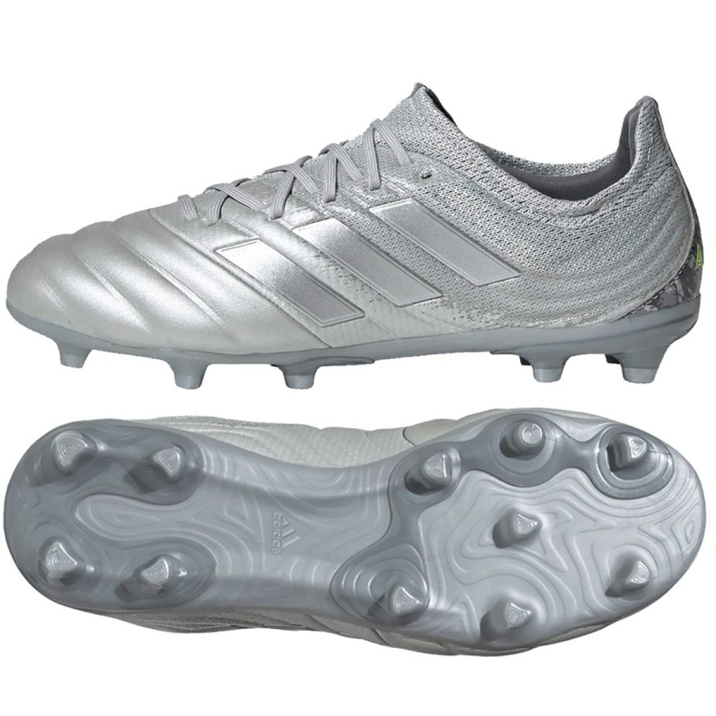Kopačke Adidas Copa 20.1 Fg Jr EF8320 siva siva