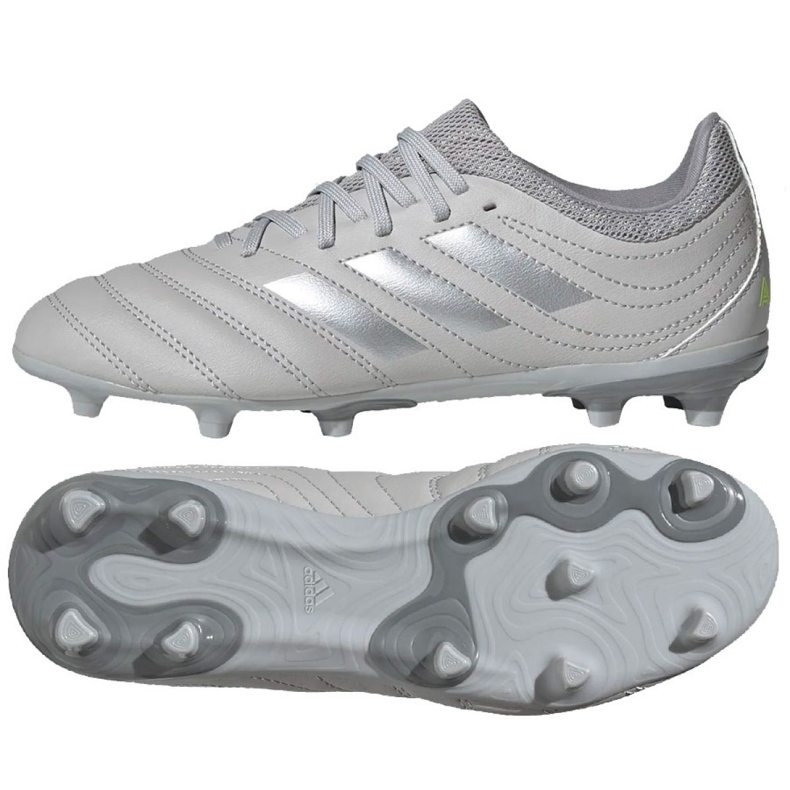 Kopačke Adidas Copa 20.3 Fg Jr EF8332 siva siva