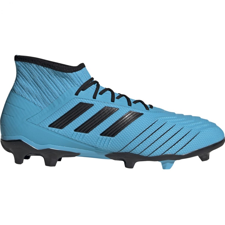 Kopačke Adidas Predator 19.2 Fg M F35604 raznobojna plava