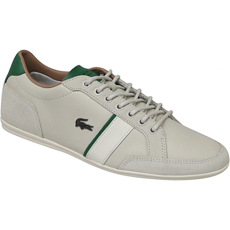 Lacoste Alisos 117 1 M CAM1018098 raznobojna