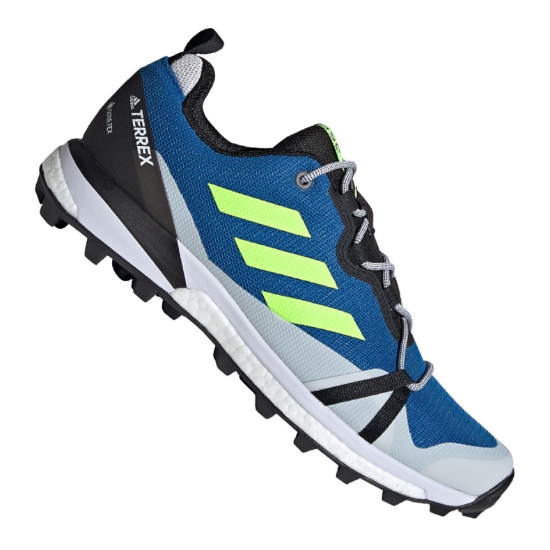 Adidas Terrex Skychaser Lt Gtx M EH2427 cipele plava raznobojna