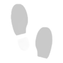 Skechers Track-Scloric 52631-BBK M 52631-BBK crna