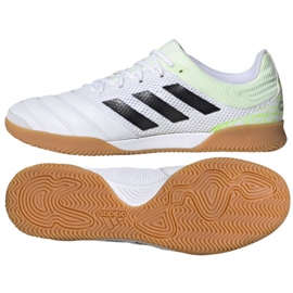 Unutarnje cipele adidas Copa 20.3 In Sala M G28547 raznobojna bijela