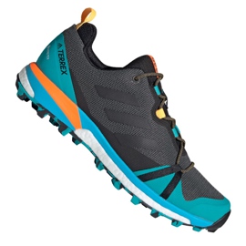 Adidas Terrex Skychaser Lt Gtx M FX0148 cipele višebojan plava
