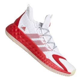 Adidas Pro Boost Low M FW9503 tenisica za košarku višebojan bijela