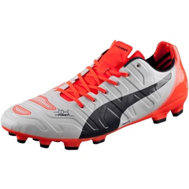 Kopačke Puma Evo Power 1.2 Ag 103213 05 siva