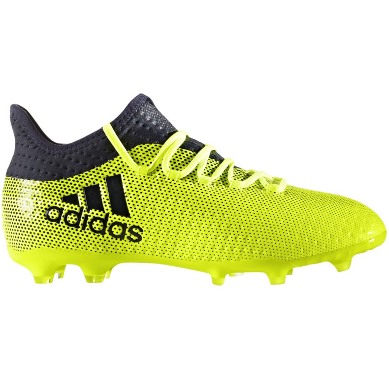 Kopačke Adidas X 17.1 Fg Jr S82297 raznobojna zelena