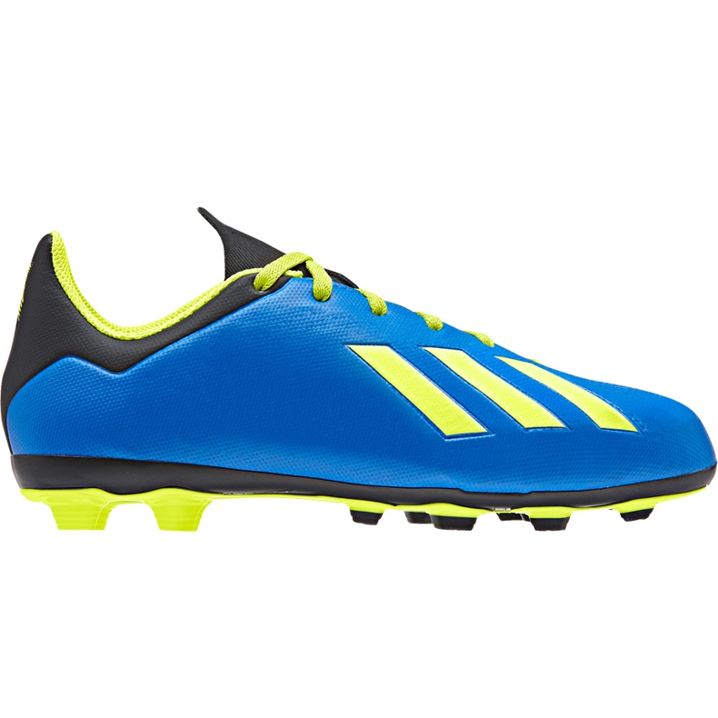 Kopačke Adidas X 18.4 FxG Jr DB2419 raznobojna plava