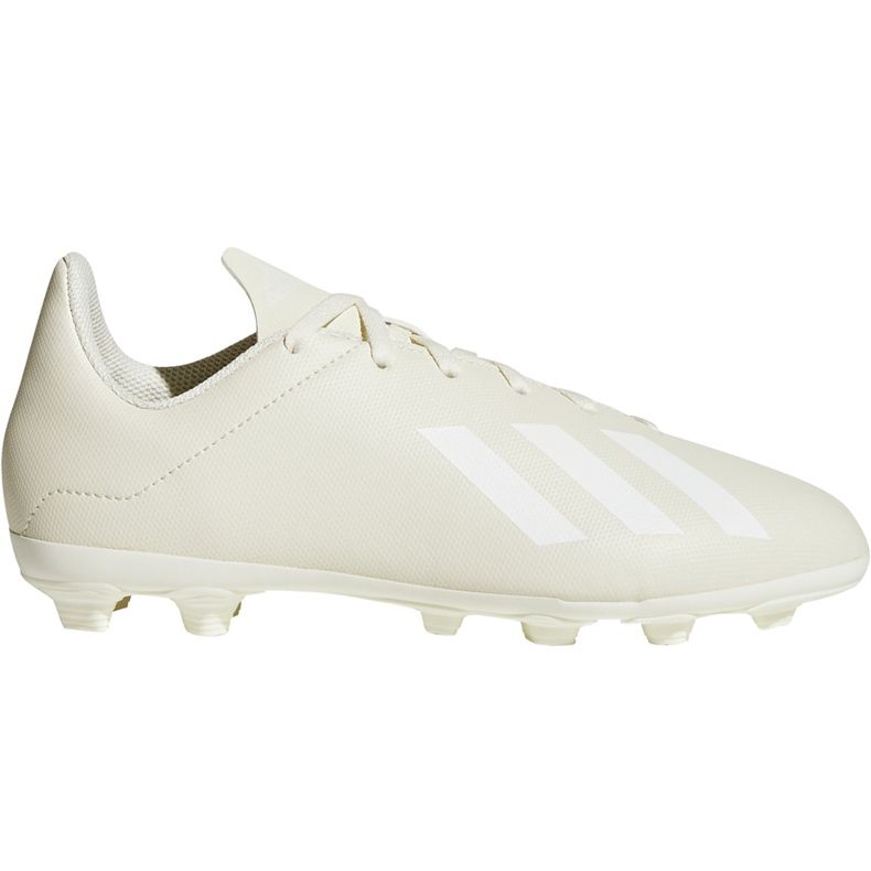 Kopačke Adidas X 18.4 FxG Jr DB2421 raznobojna bež