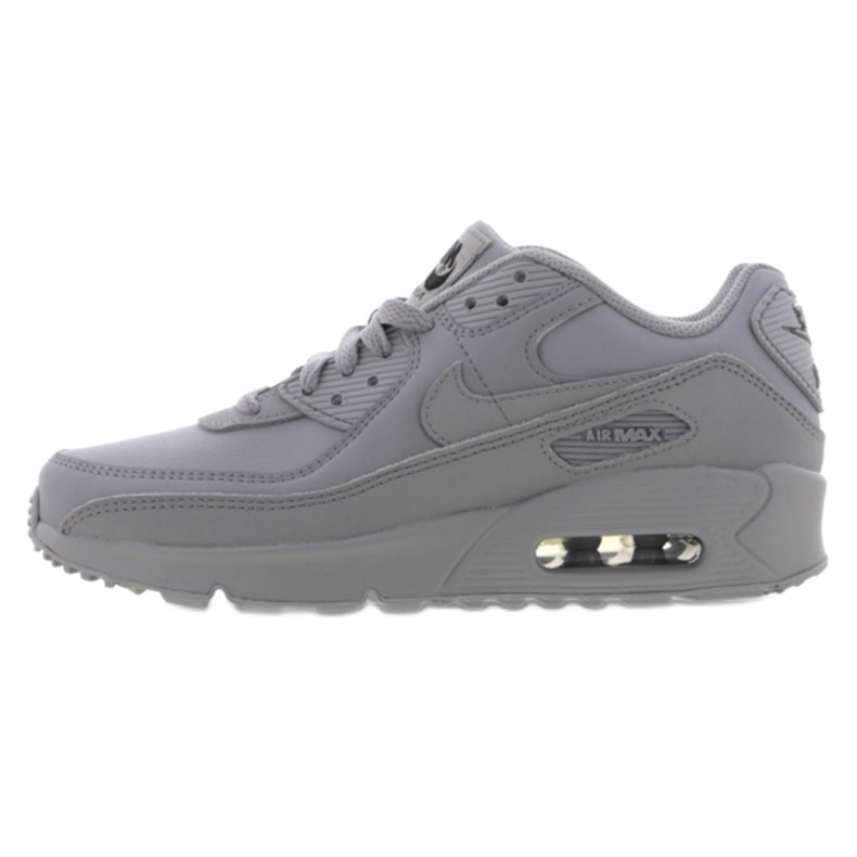 Cipele Nike Air Max 90 Ltr Jr CD6864-006 siva