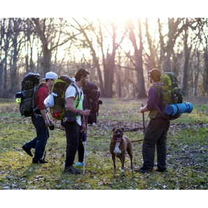 Trekking - koje cipele odabrati?