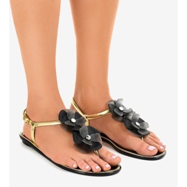 Crne papuče za cvijeće KG19P crna 1