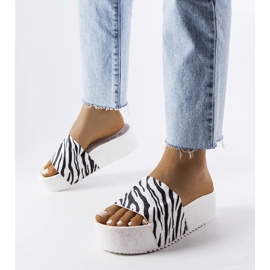 AE35 Zebra slajdovi bijela 1