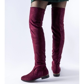 Duge bordo tople Elwira čizme od eko antilop kože crvena 1