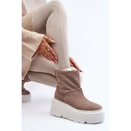 Kožne ženske gležnjače na masivnom potplatu Bež Zazoo 3424 1