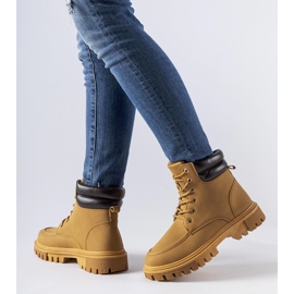 Smeđi, izolirani, mat Conroe radnici smeđa 1