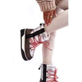 Ženske snježne čizme na gustom veganskom potplatu D.Franklin DFSH371006 Silver srebro 2