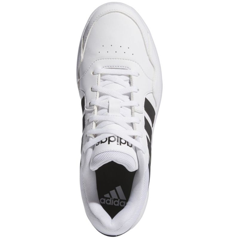 Adidas Hoops 3.0 Bold IG6115 tenisice bijela 1