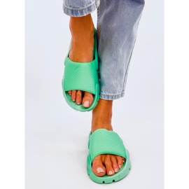 Wind Green ženske papuče zelena 1