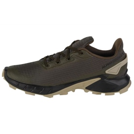 Salomon Alphacross 4 Gtx M 471169 tenisice za trčanje zelena 1