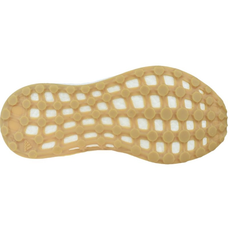 Adidas Pureboost S81992 cipele bež 3