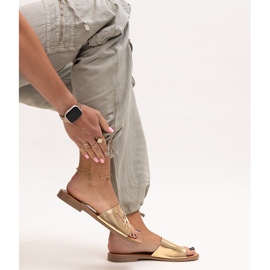 Almeita zlatne kopče zlatna 1