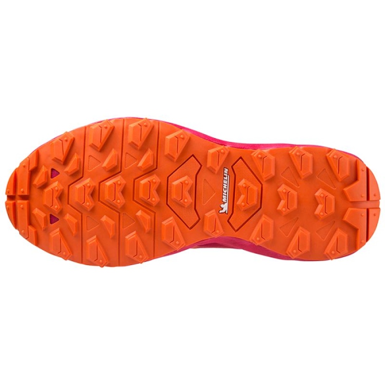 Cipele Mizuno Wave Daichi 7 Gtx J1GK225672 ružičasta 1