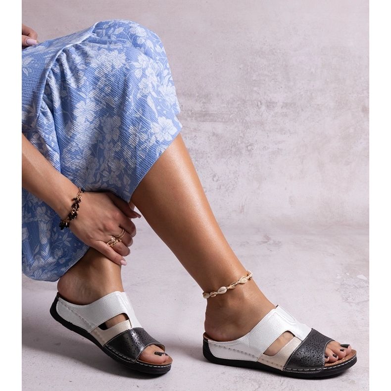 Crno-bijeli sjajni slajdovi Saminar bijela 1