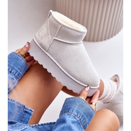 Ženske čizme za snijeg s platformom i krznenom postavom, svijetlosive Xamella siva 2