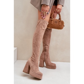 Bež Nadelian čizme iznad koljena s visokom petom i platformom 2