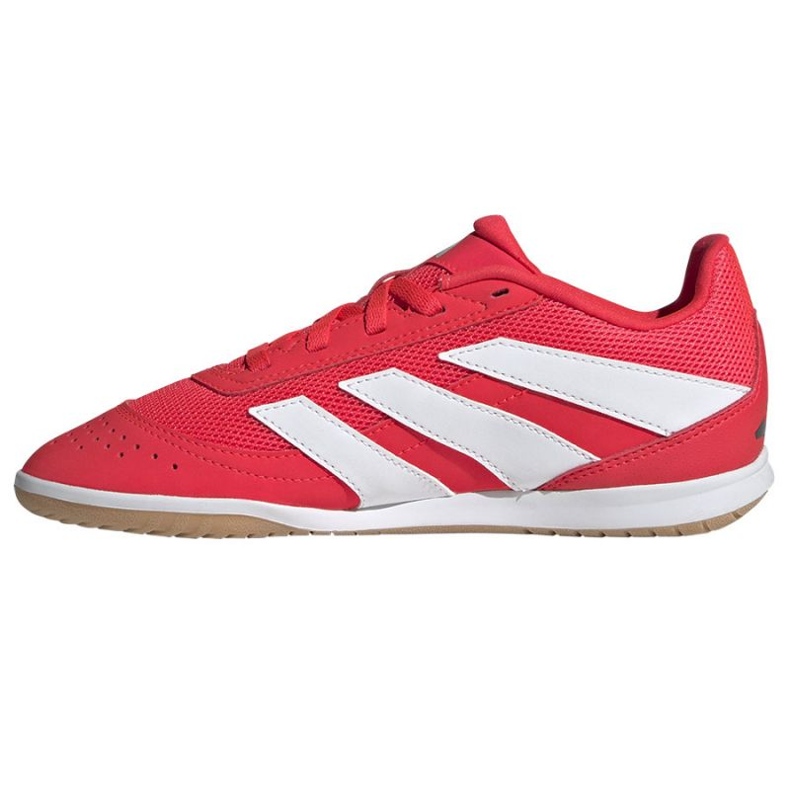 Adidas Predator Club Sala u JR3126 crvene cipele crvena 1