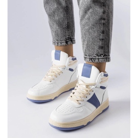 D/GMR Plave gležnjače iz Robina plava 1