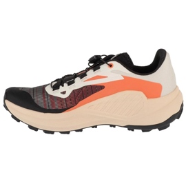 Salomon Genesis L47820400 tenisice za trčanje višebojan 1