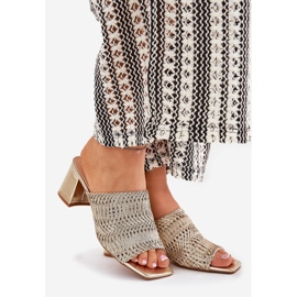 Ženski klip sa zlatnim potpeticama 1