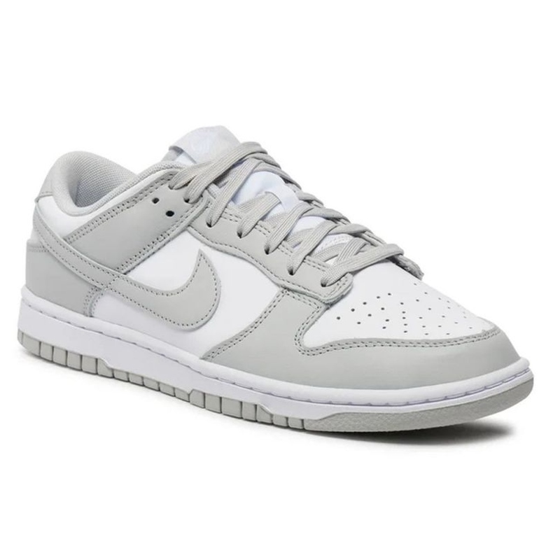 Nike Dunk Low Retro DD1391-103 cipele siva 1
