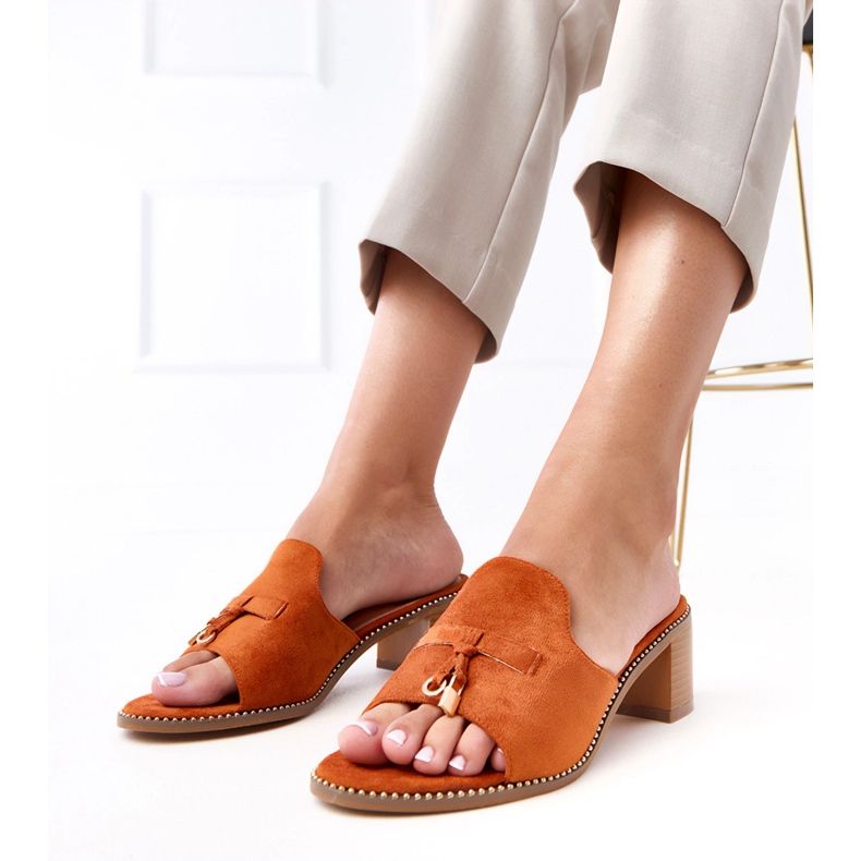 Smeđi okret -fli na ukrasu breze smeđa 1