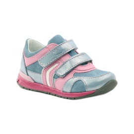 Ren But Rajna plava 1