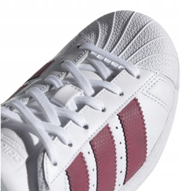 Adidas Originals Superstar Jr CQ2690 cipele bijela 1