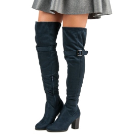 SDS Tamnoplavi mušketiri na postu plava tamnoplava 1