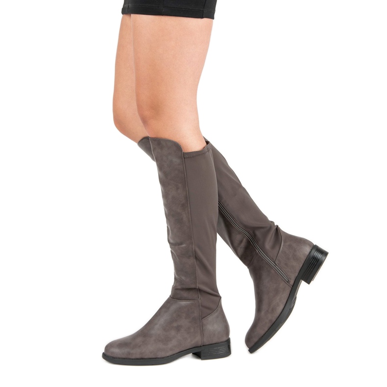 Sivi mušketiri siva 1