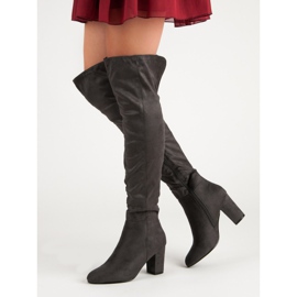 Kayla Sivi mušketiri siva 2