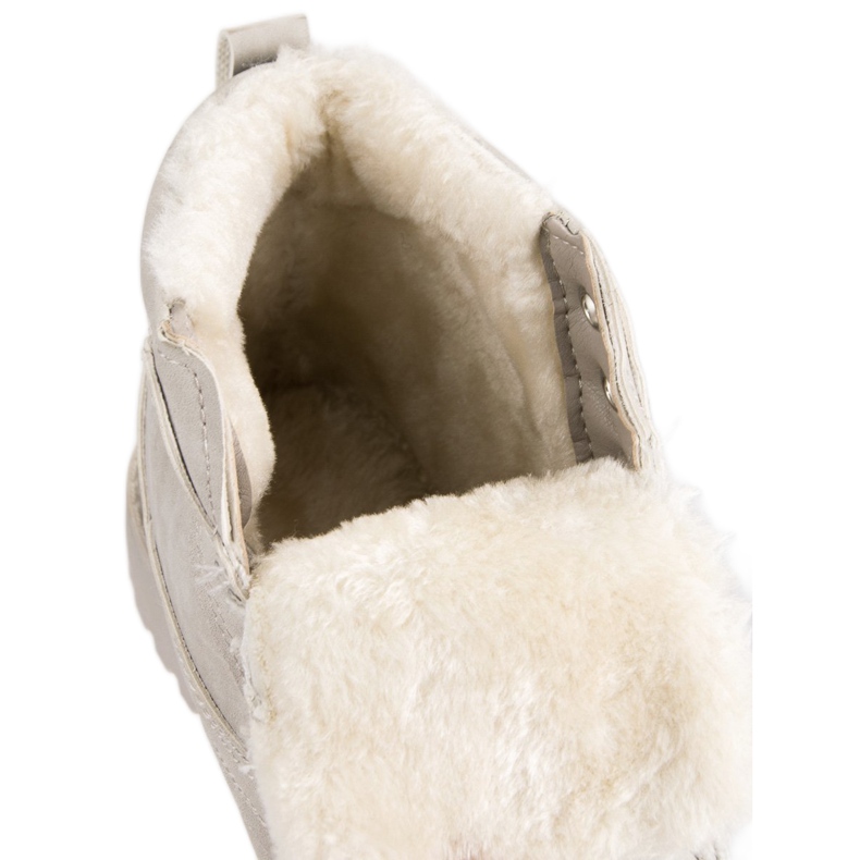 Klasični sivi hvatači siva 1