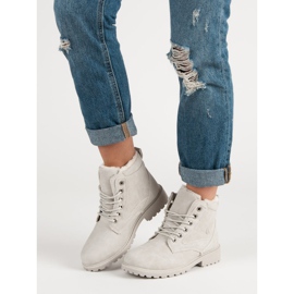 Klasični sivi hvatači siva 2