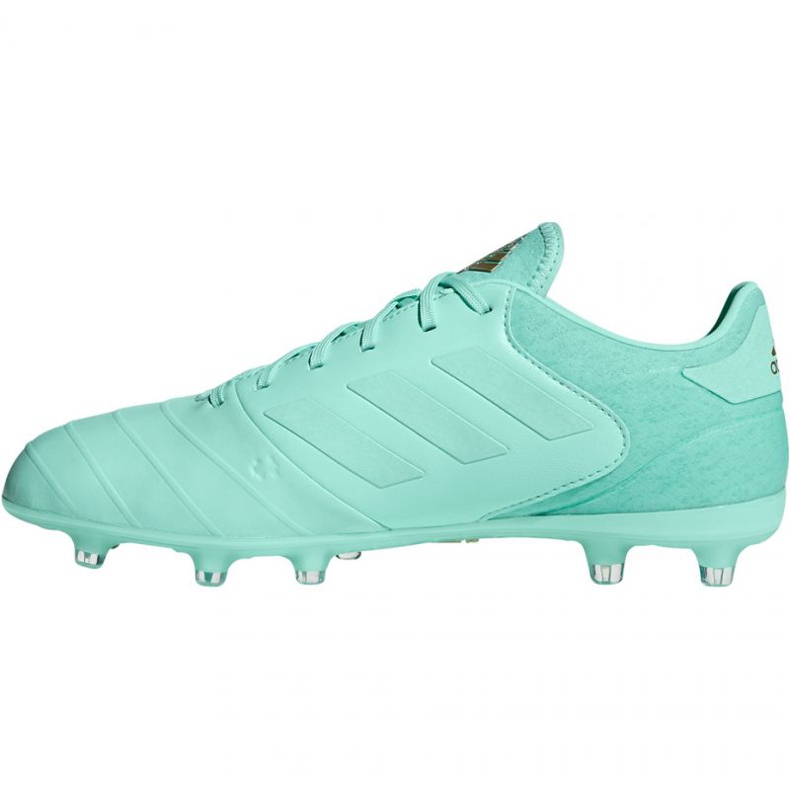 Kopačke Adidas Copa 18.2 FG M DB2446 plava 2