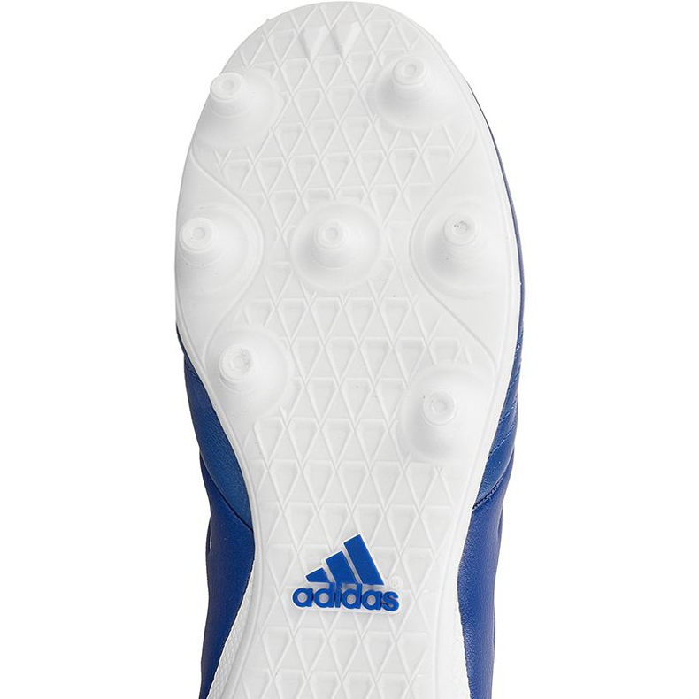 Kopačke Adidas Copa 17.3 Fg M BA9717 plava plava 1