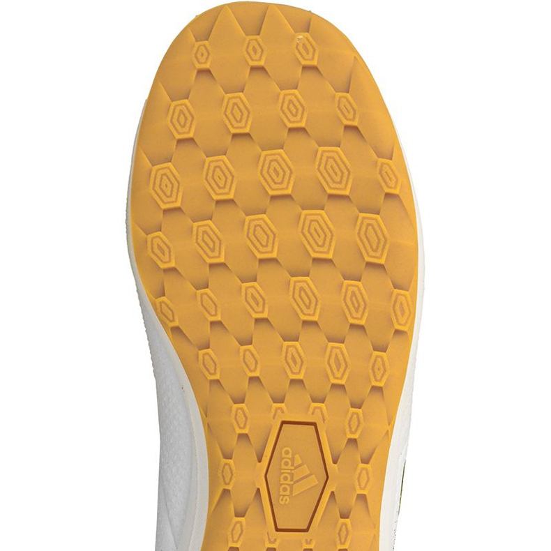 Sobne cipele adidas Ace Tango 17.3 In M CG3707 višebojan crna 2